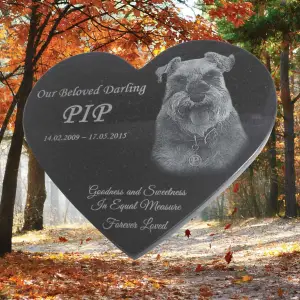 Laser-etched pet memorial rock with engraved name and paw print, designed for outdoor garden display as a lasting tribute to a beloved companion.